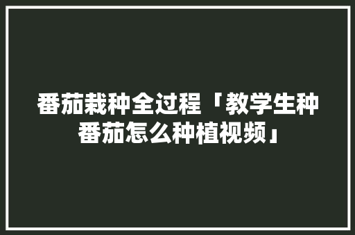 番茄栽种全过程「教学生种番茄怎么种植视频」 番茄栽种全过程「教学生种番茄怎么种植视频」 土壤施肥