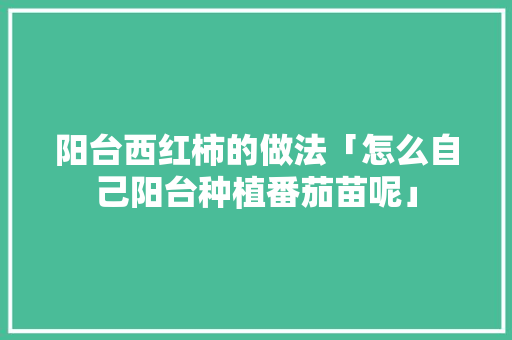 阳台西红柿的做法「怎么自己阳台种植番茄苗呢」 阳台西红柿的做法「怎么自己阳台种植番茄苗呢」 植物种类
