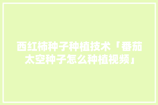 西红柿种子种植技术「番茄太空种子怎么种植视频」 西红柿种子种植技术「番茄太空种子怎么种植视频」 农业常识