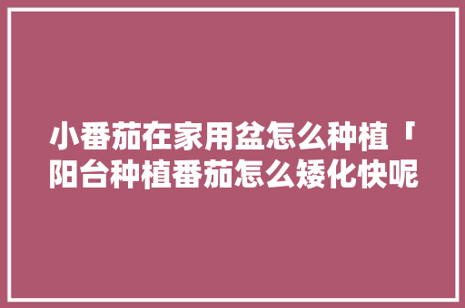 小番茄在家用盆怎么种植「阳台种植番茄怎么矮化快呢」 小番茄在家用盆怎么种植「阳台种植番茄怎么矮化快呢」 农业常识