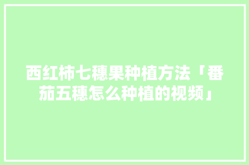 西红柿七穗果种植方法「番茄五穗怎么种植的视频」 西红柿七穗果种植方法「番茄五穗怎么种植的视频」 土壤施肥