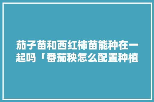 茄子苗和西红柿苗能种在一起吗「番茄秧怎么配置种植土壤」 茄子苗和西红柿苗能种在一起吗「番茄秧怎么配置种植土壤」 土壤施肥