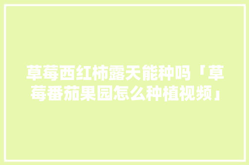 草莓西红柿露天能种吗「草莓番茄果园怎么种植视频」 草莓西红柿露天能种吗「草莓番茄果园怎么种植视频」 农业常识