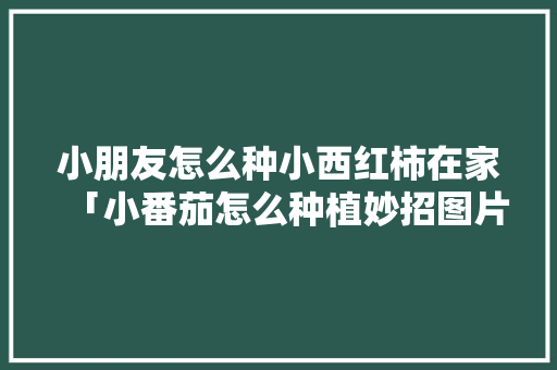 小朋友怎么种小西红柿在家「小番茄怎么种植妙招图片大全」 植物种类 小朋友怎么种小西红柿在家「小番茄怎么种植妙招图片大全」 小朋友怎么种小西红柿在家「小番茄怎么种植妙招图片大全」 植物种类