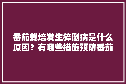 番茄栽培发生猝倒病是什么原因？有哪些措施预防番茄发生猝倒病「种番茄,最忌直接栽,第1步搞错,难怪死苗烂棵产量低」 番茄栽培发生猝倒病是什么原因？有哪些措施预防番茄发生猝倒病「种番茄,最忌直接栽,第1步搞错,难怪死苗烂棵产量低」 番茄种植技巧