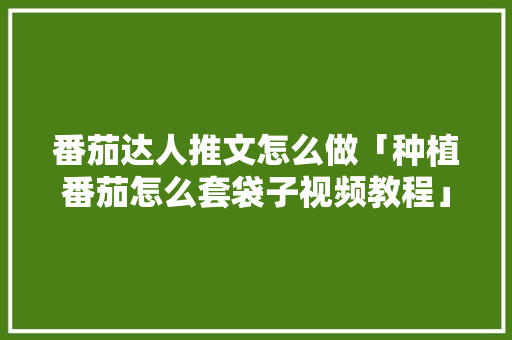 番茄达人推文怎么做「种植番茄怎么套袋子视频教程」