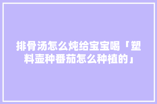 排骨汤怎么炖给宝宝喝「塑料壶种番茄怎么种植的」