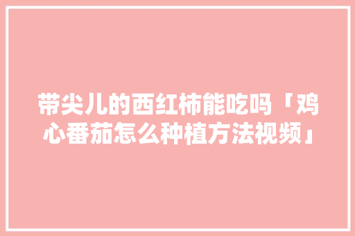 带尖儿的西红柿能吃吗「鸡心番茄怎么种植方法视频」