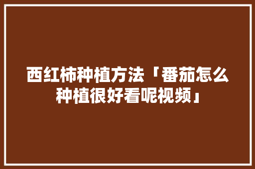 西红柿种植方法「番茄怎么种植很好看呢视频」 西红柿种植方法「番茄怎么种植很好看呢视频」 土壤施肥