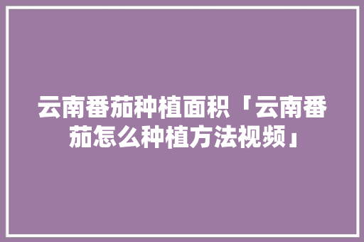 云南番茄种植面积「云南番茄怎么种植方法视频」 云南番茄种植面积「云南番茄怎么种植方法视频」 种植技巧