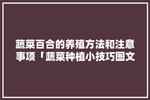 蔬菜百合的养殖方法和注意事项「蔬菜种植小技巧图文介绍怎么写」 蔬菜百合的养殖方法和注意事项「蔬菜种植小技巧图文介绍怎么写」 土壤施肥