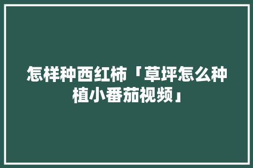 怎样种西红柿「草坪怎么种植小番茄视频」