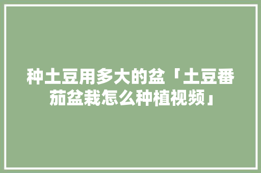 种土豆用多大的盆「土豆番茄盆栽怎么种植视频」