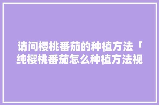 请问樱桃番茄的种植方法「纯樱桃番茄怎么种植方法视频」 请问樱桃番茄的种植方法「纯樱桃番茄怎么种植方法视频」 种植技巧