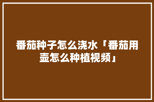 番茄种子怎么浇水「番茄用壶怎么种植视频」 番茄种子怎么浇水「番茄用壶怎么种植视频」 番茄病虫害防治