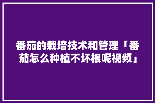 番茄的栽培技术和管理「番茄怎么种植不坏根呢视频」 番茄的栽培技术和管理「番茄怎么种植不坏根呢视频」 花朵知识