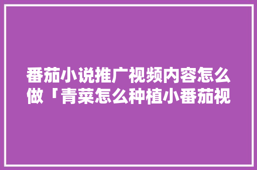 番茄小说推广视频内容怎么做「青菜怎么种植小番茄视频教程」 番茄小说推广视频内容怎么做「青菜怎么种植小番茄视频教程」 种植技巧