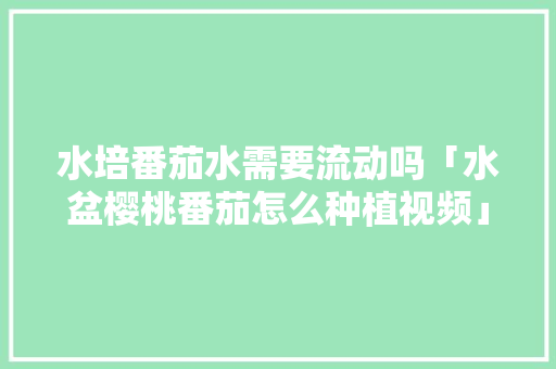 水培番茄水需要流动吗「水盆樱桃番茄怎么种植视频」 水培番茄水需要流动吗「水盆樱桃番茄怎么种植视频」 番茄种植技巧