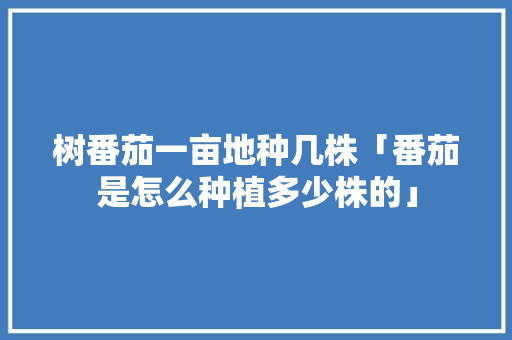 树番茄一亩地种几株「番茄是怎么种植多少株的」 树番茄一亩地种几株「番茄是怎么种植多少株的」 种植技巧