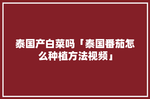 泰国产白菜吗「泰国番茄怎么种植方法视频」