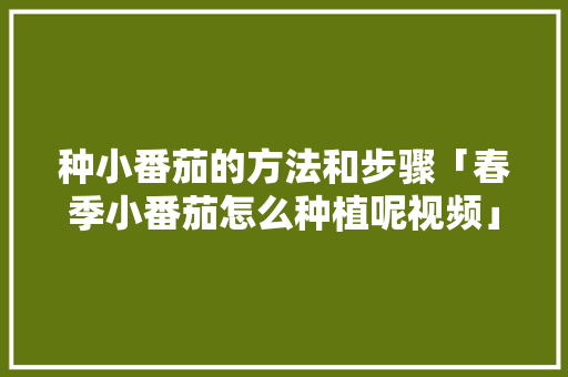 种小番茄的方法和步骤「春季小番茄怎么种植呢视频」 种小番茄的方法和步骤「春季小番茄怎么种植呢视频」 花朵知识