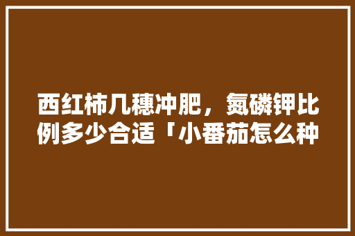 西红柿几穗冲肥，氮磷钾比例多少合适「小番茄怎么种植施肥视频」 西红柿几穗冲肥，氮磷钾比例多少合适「小番茄怎么种植施肥视频」 农业常识