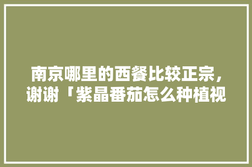 南京哪里的西餐比较正宗，谢谢「紫晶番茄怎么种植视频」 南京哪里的西餐比较正宗，谢谢「紫晶番茄怎么种植视频」 植物种类