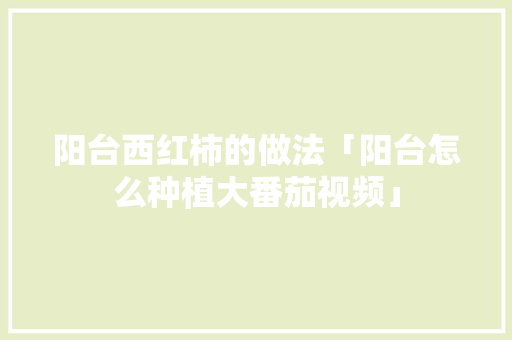 阳台西红柿的做法「阳台怎么种植大番茄视频」 阳台西红柿的做法「阳台怎么种植大番茄视频」 番茄种植技巧