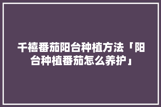 千禧番茄阳台种植方法「阳台种植番茄怎么养护」 千禧番茄阳台种植方法「阳台种植番茄怎么养护」 番茄种植技巧