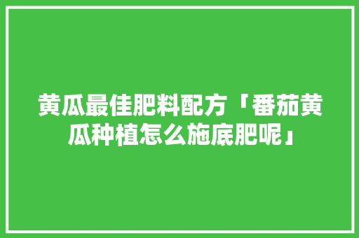 黄瓜最佳肥料配方「番茄黄瓜种植怎么施底肥呢」 黄瓜最佳肥料配方「番茄黄瓜种植怎么施底肥呢」 农业常识
