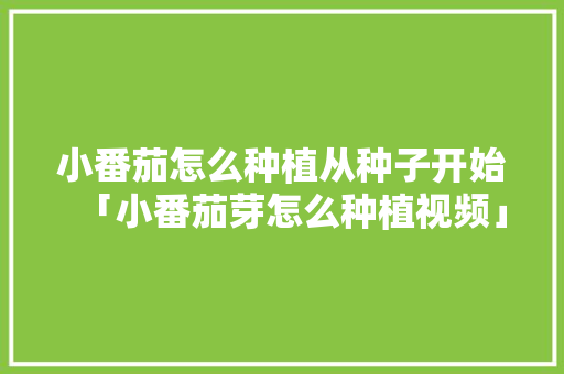 小番茄怎么种植从种子开始「小番茄芽怎么种植视频」 小番茄怎么种植从种子开始「小番茄芽怎么种植视频」 番茄种植技巧