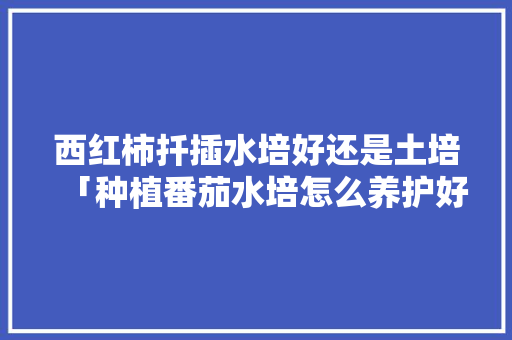 西红柿扦插水培好还是土培「种植番茄水培怎么养护好呢」 西红柿扦插水培好还是土培「种植番茄水培怎么养护好呢」 土壤施肥