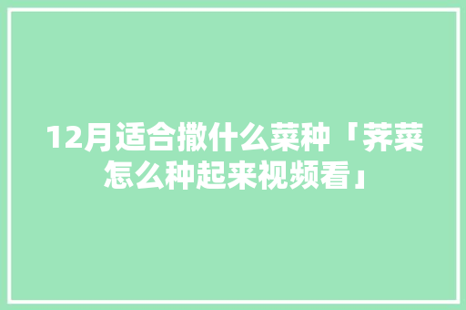 12月适合撒什么菜种「荠菜怎么种起来视频看」 12月适合撒什么菜种「荠菜怎么种起来视频看」 土壤施肥