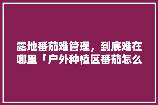 露地番茄难管理，到底难在哪里「户外种植区番茄怎么种植的」 露地番茄难管理，到底难在哪里「户外种植区番茄怎么种植的」 种植技巧
