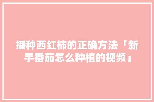 播种西红柿的正确方法「新手番茄怎么种植的视频」 播种西红柿的正确方法「新手番茄怎么种植的视频」 植物种类