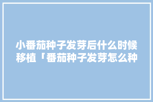 小番茄种子发芽后什么时候移植「番茄种子发芽怎么种植视频」 小番茄种子发芽后什么时候移植「番茄种子发芽怎么种植视频」 土壤施肥