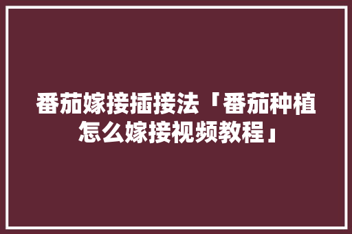 番茄嫁接插接法「番茄种植怎么嫁接视频教程」 番茄嫁接插接法「番茄种植怎么嫁接视频教程」 植物种类