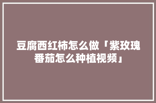 豆腐西红柿怎么做「紫玫瑰番茄怎么种植视频」