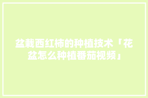 盆栽西红柿的种植技术「花盆怎么种植番茄视频」 盆栽西红柿的种植技术「花盆怎么种植番茄视频」 农业常识