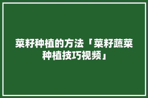 菜籽种植的方法「菜籽蔬菜种植技巧视频」