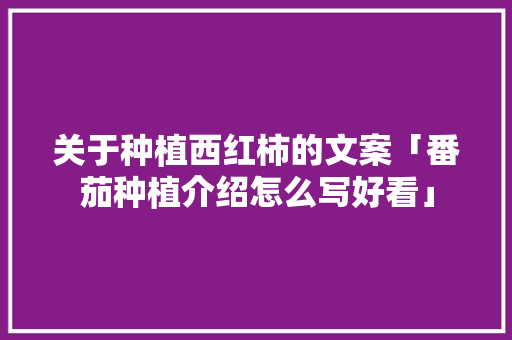 关于种植西红柿的文案「番茄种植介绍怎么写好看」 关于种植西红柿的文案「番茄种植介绍怎么写好看」 花朵知识