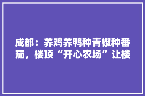 成都：养鸡养鸭种青椒种番茄，楼顶“开心农场”让楼下好心伤, 你怎么看「牧场种植番茄怎么种植」