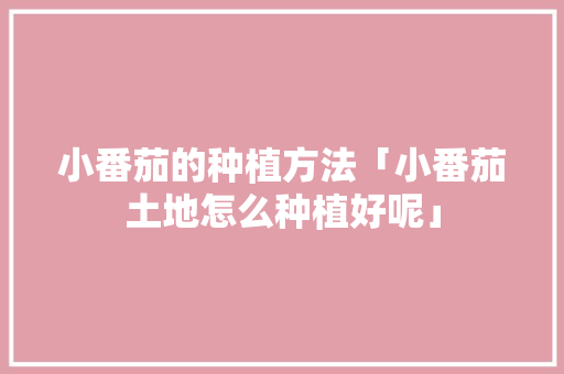 小番茄的种植方法「小番茄土地怎么种植好呢」 小番茄的种植方法「小番茄土地怎么种植好呢」 种植技巧