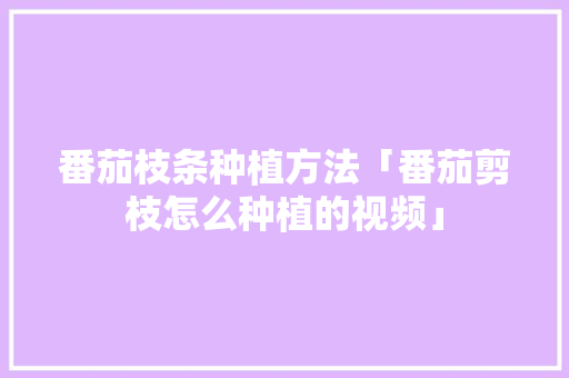 番茄枝条种植方法「番茄剪枝怎么种植的视频」 番茄枝条种植方法「番茄剪枝怎么种植的视频」 种植技巧