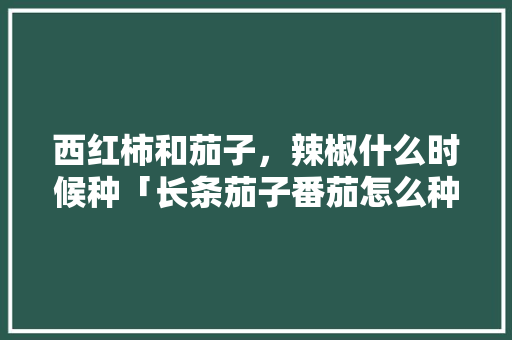 西红柿和茄子,辣椒什么时候种「长条茄子番茄怎么种植视频」 土壤施肥 西红柿和茄子,辣椒什么时候种「长条茄子番茄怎么种植视频」 西红柿和茄子,辣椒什么时候种「长条茄子番茄怎么种植视频」 土壤施肥