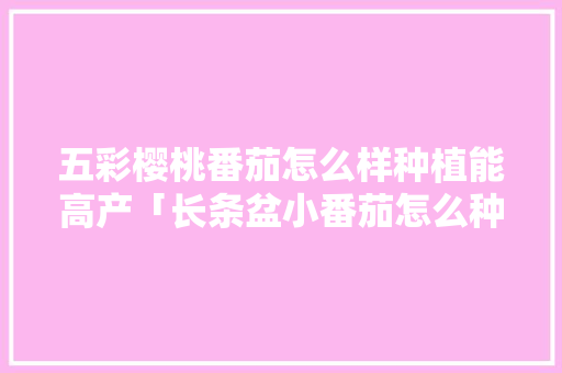 五彩樱桃番茄怎么样种植能高产「长条盆小番茄怎么种植视频」