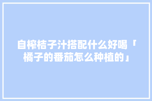 自榨桔子汁搭配什么好喝「橘子的番茄怎么种植的」 自榨桔子汁搭配什么好喝「橘子的番茄怎么种植的」 花朵知识
