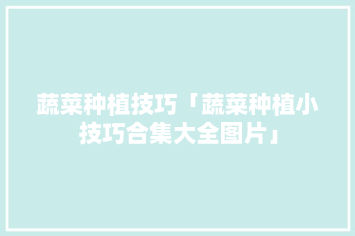 蔬菜种植技巧「蔬菜种植小技巧合集大全图片」 蔬菜种植技巧「蔬菜种植小技巧合集大全图片」 番茄病虫害防治