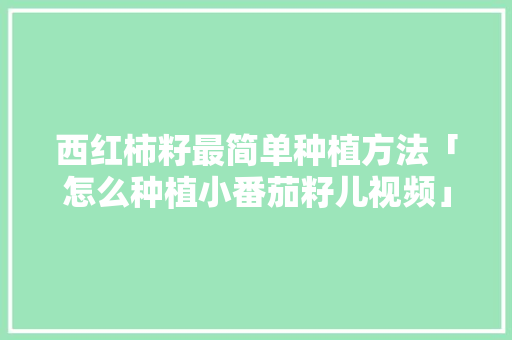 西红柿籽最简单种植方法「怎么种植小番茄籽儿视频」 西红柿籽最简单种植方法「怎么种植小番茄籽儿视频」 番茄病虫害防治