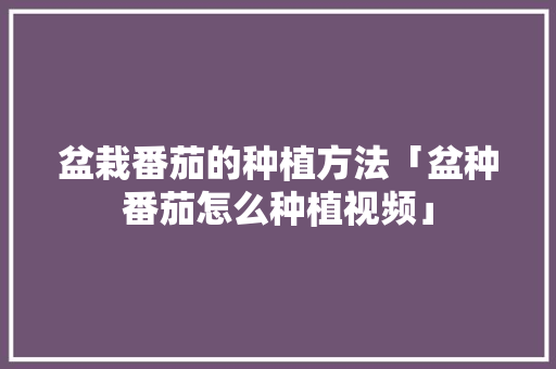 盆栽番茄的种植方法「盆种番茄怎么种植视频」 盆栽番茄的种植方法「盆种番茄怎么种植视频」 种植技巧
